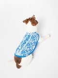 Maglione per cani Pulldoger bianco e bluette con ricamo Courma