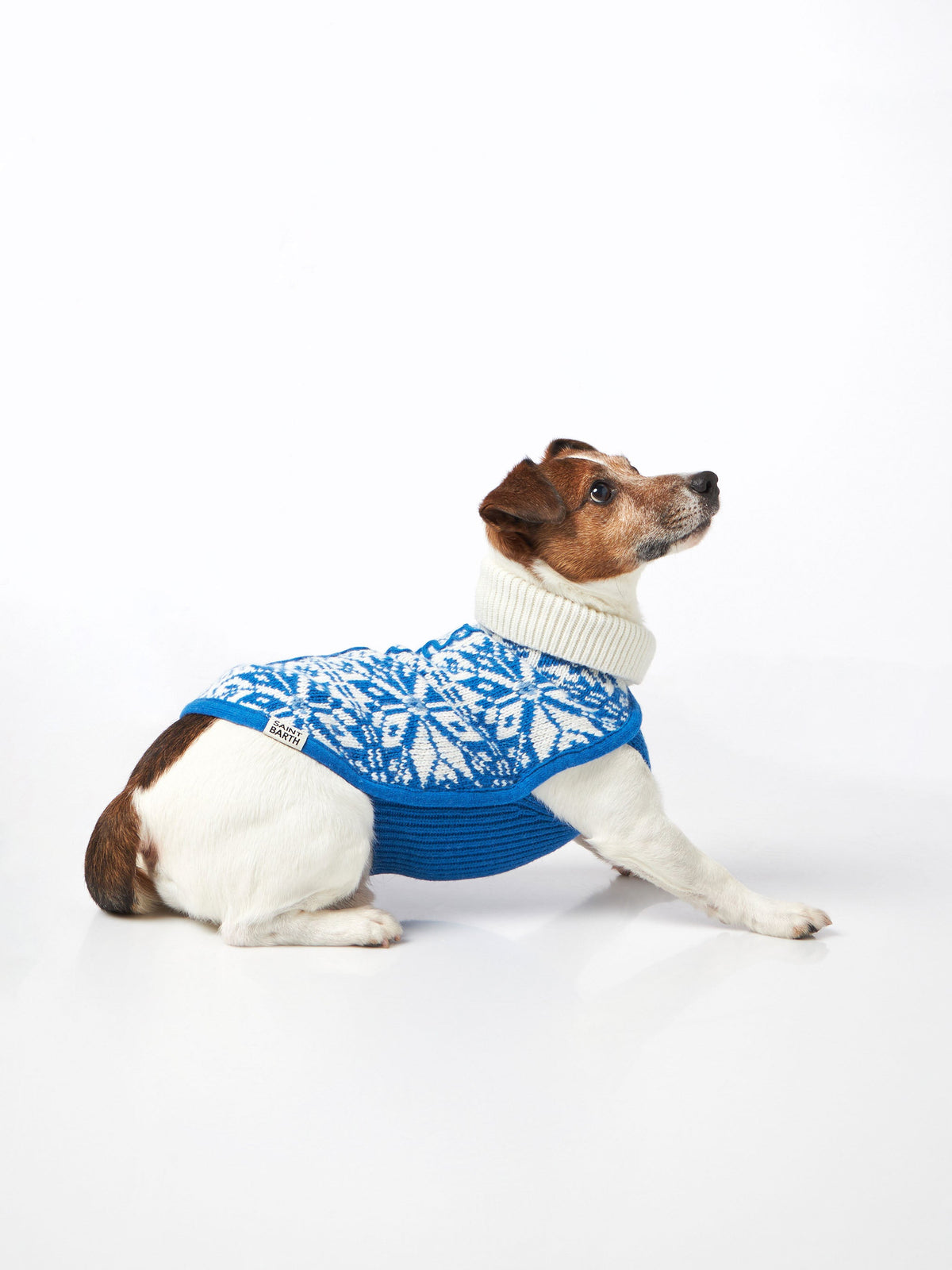 Maglione per cani Pulldoger bianco e bluette con ricamo Courma