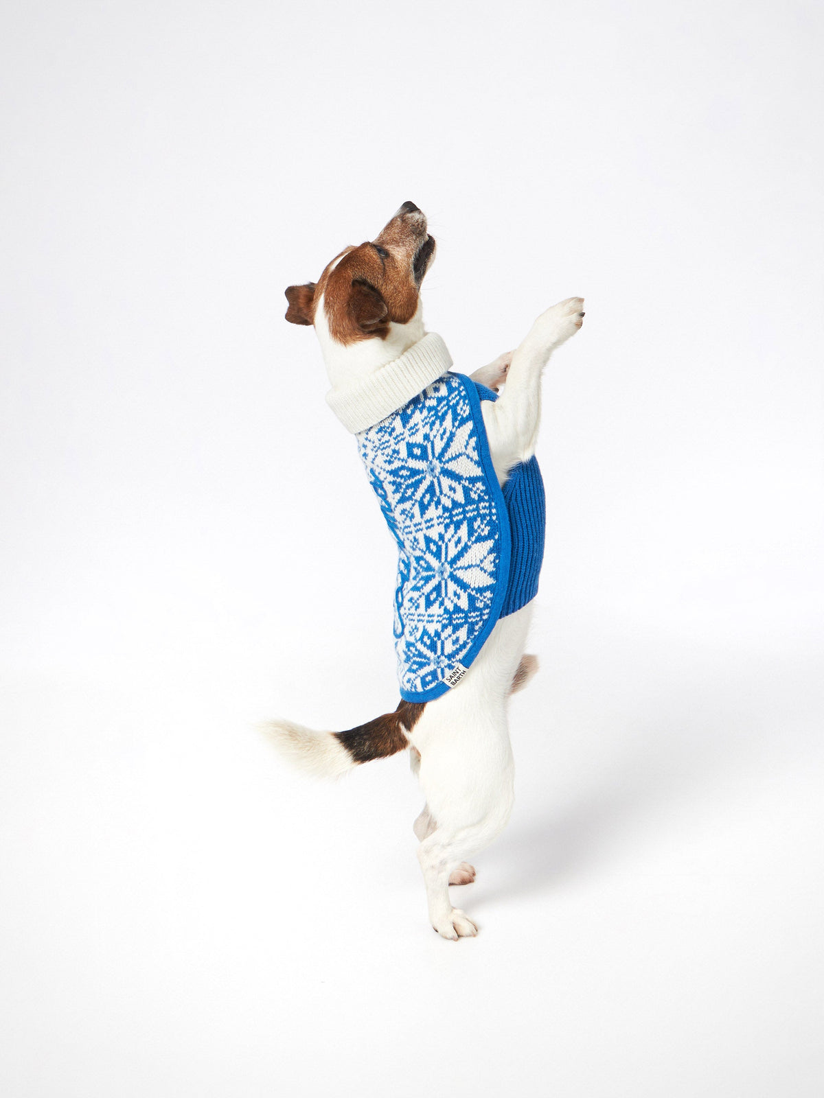 Maglione per cani Pulldoger bianco e bluette con ricamo Courma