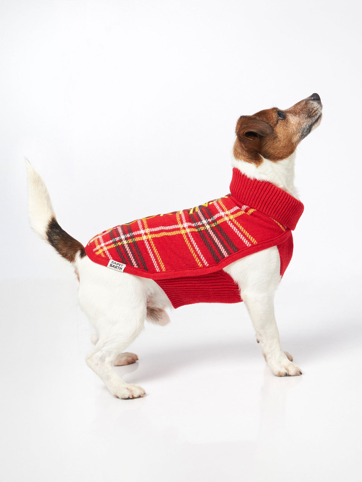 Maglione per cani Pulldoger tartan con ricamo Cortina