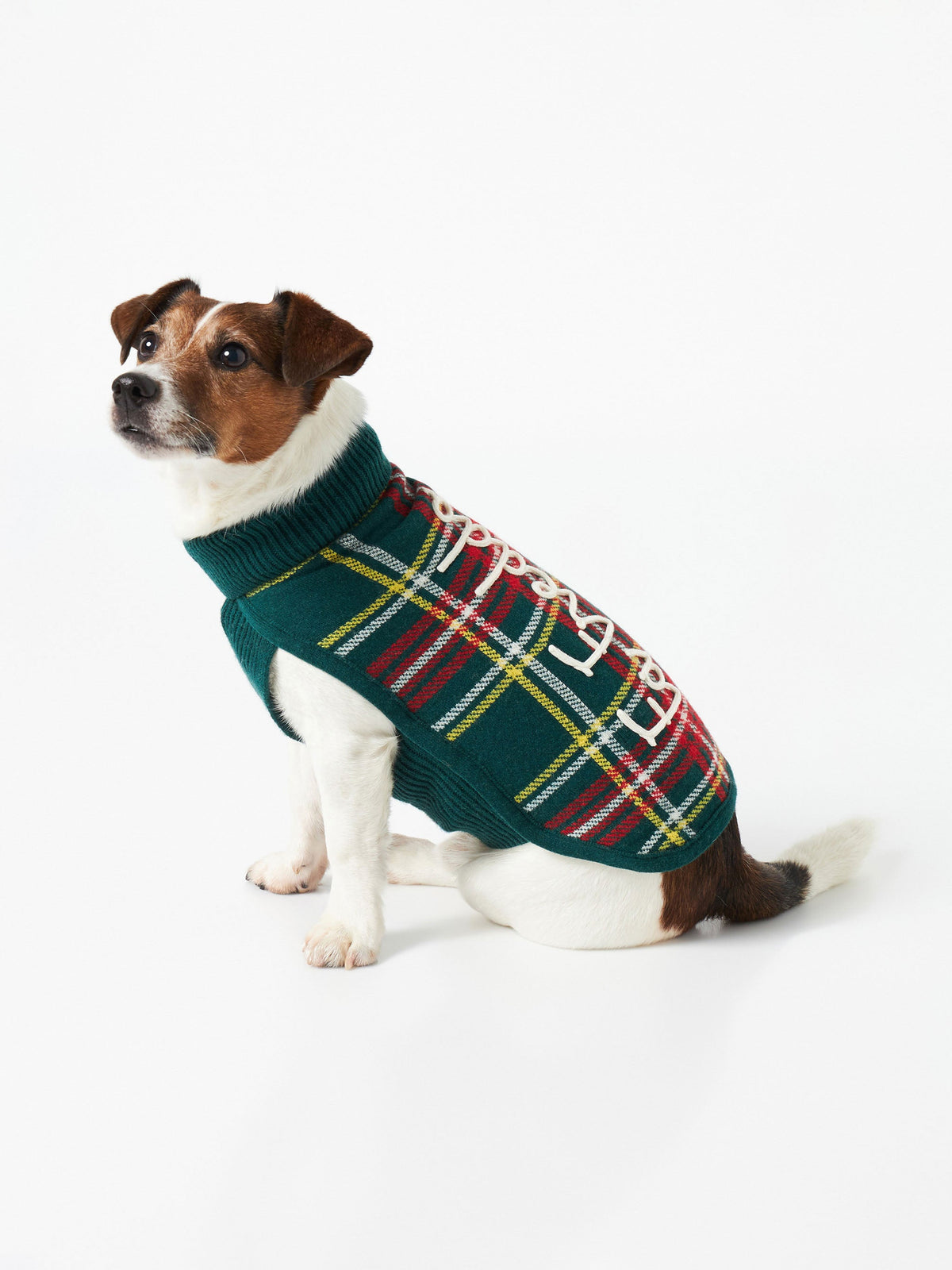 Maglione per cani Pulldoger verde scuro con ricamo Fa Freddo