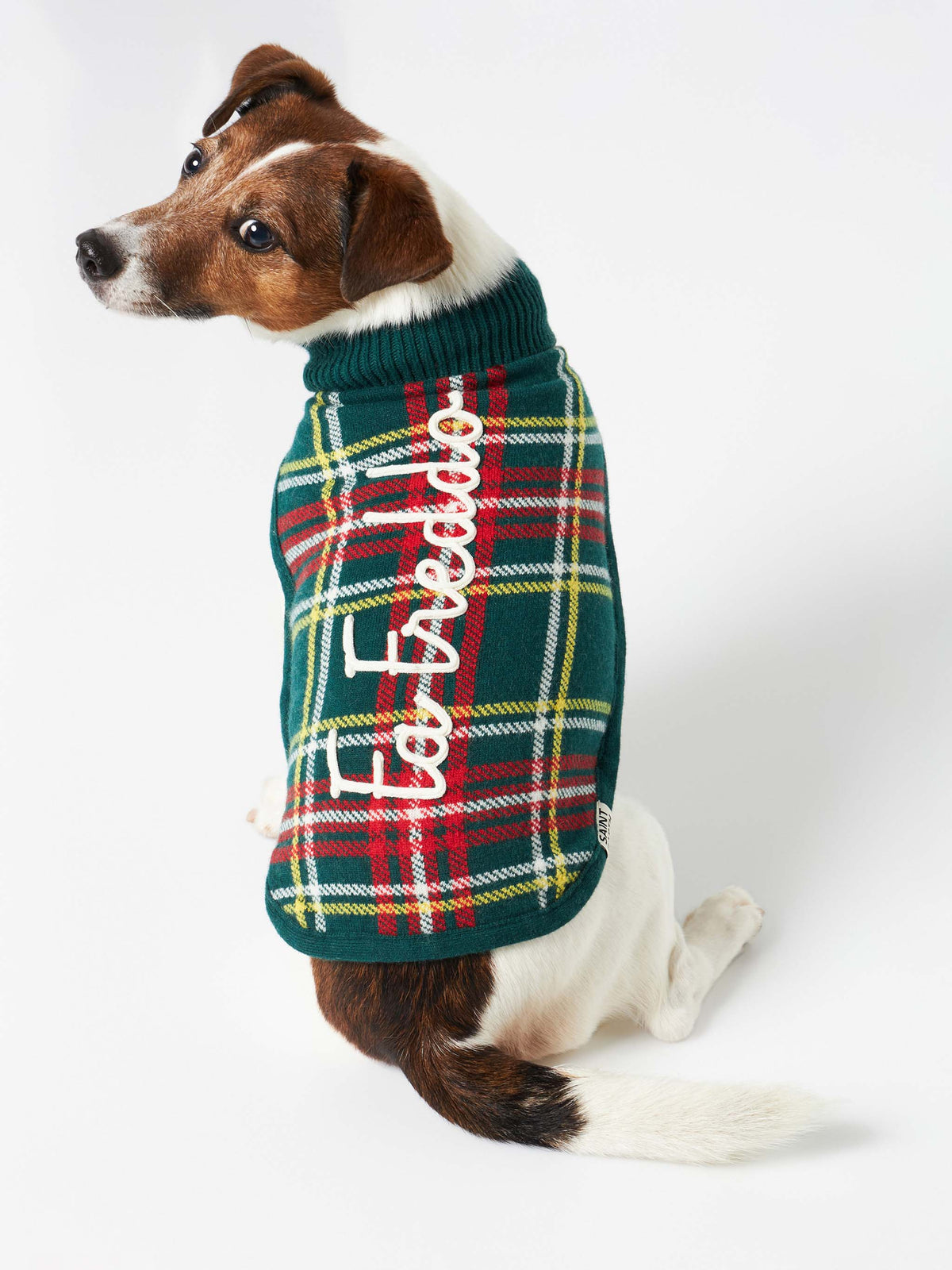 Maglione per cani Pulldoger verde scuro con ricamo Fa Freddo