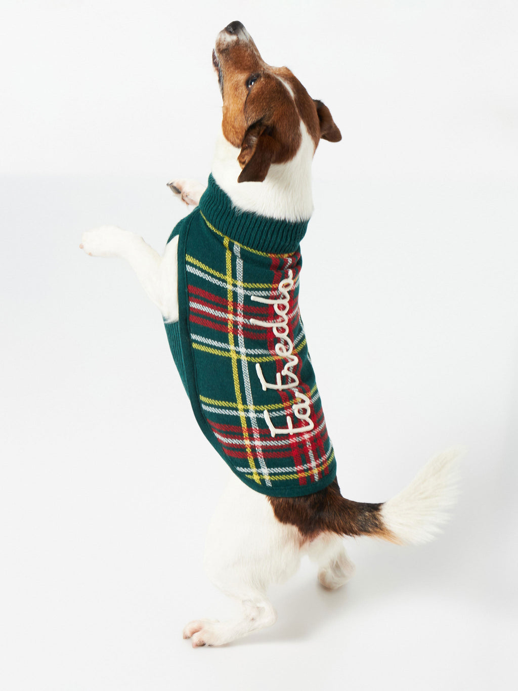 Maglione per cani Pulldoger verde scuro con ricamo Fa Freddo