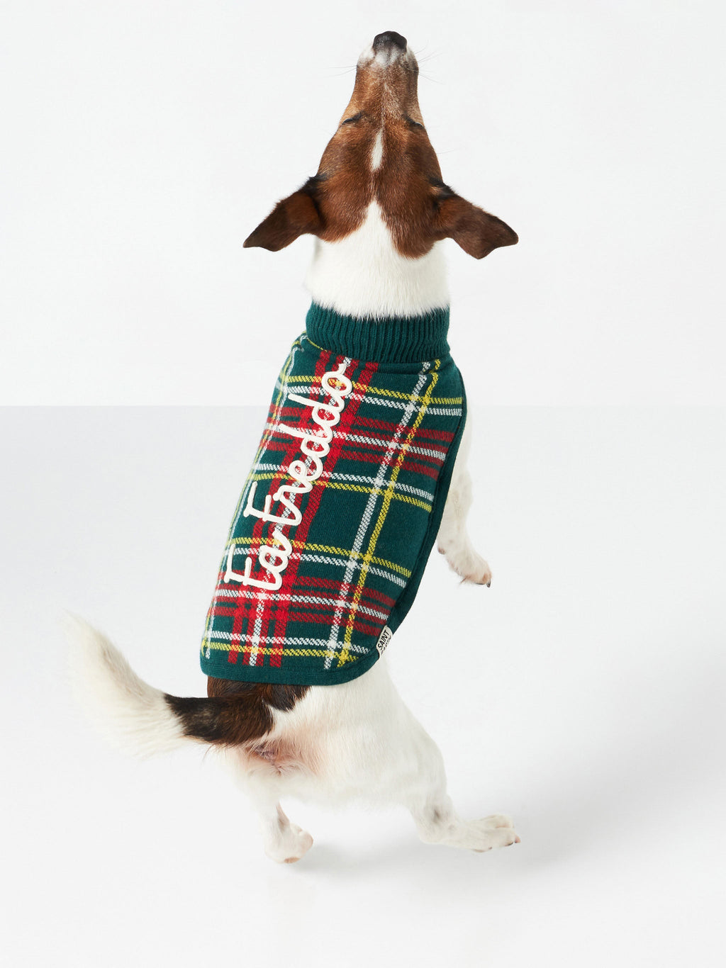 Maglione per cani Pulldoger verde scuro con ricamo Fa Freddo
