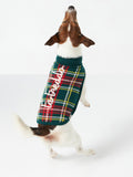 Maglione per cani Pulldoger verde scuro con ricamo Fa Freddo