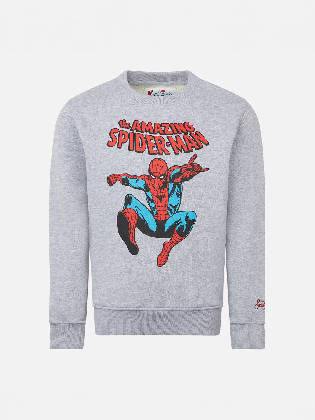 Felpa Hutton grigia con stampa Spiderman | Special Edition product image 1
