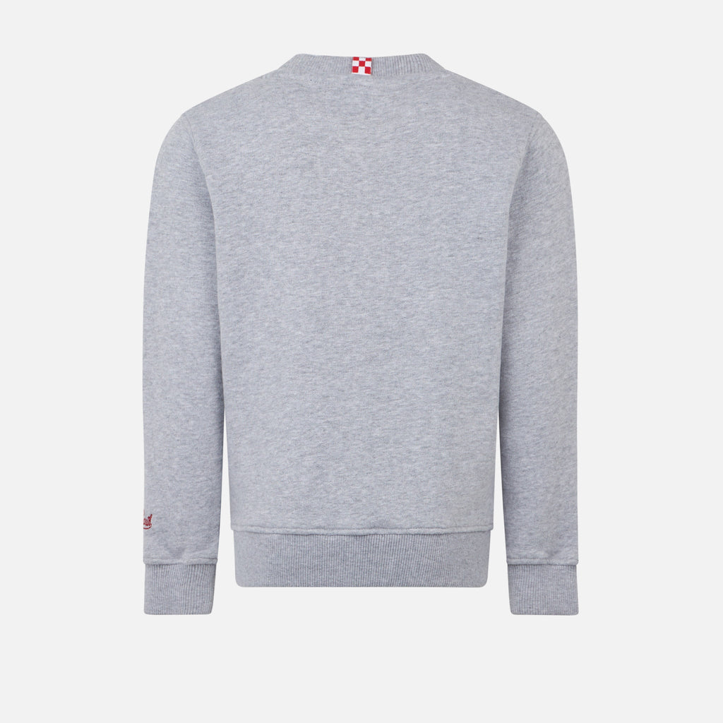 Felpa Hutton grigia con stampa Spiderman | Special Edition product image 3
